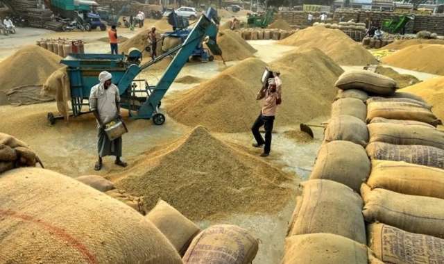 Odisha Kharif Paddy Procurement to Begin Nov 20, 100 Model Mandis Planned