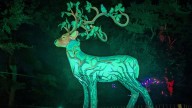 The Morton Arboretum’s Illumination adds Vivid Creatures art exhibits