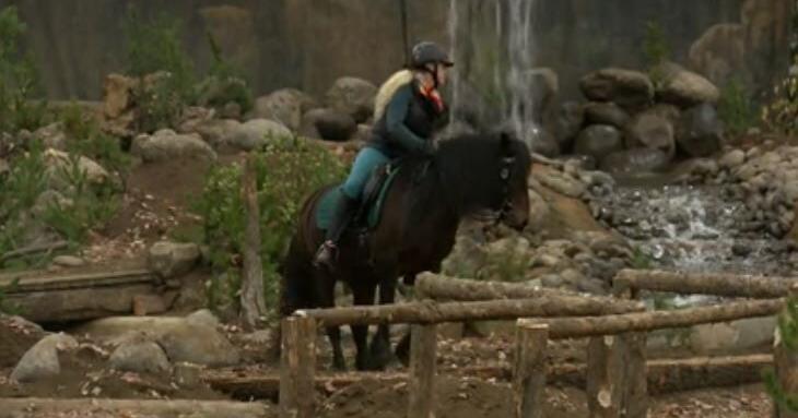 Eugene horse center on alert for equine virus test results