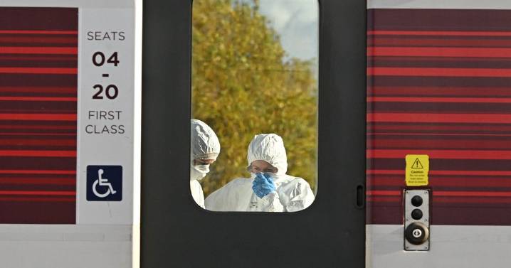 Police issue new statement amid mass train stabbing investigation