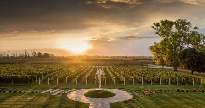 Una histórica bodega mendocina se presentó a concurso de acreedores