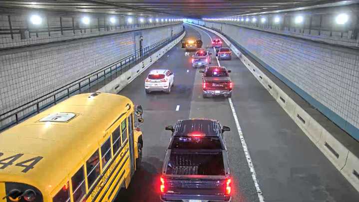 Wrong-way rover: Dog is rescued from a busy Boston tunnel during rush hour