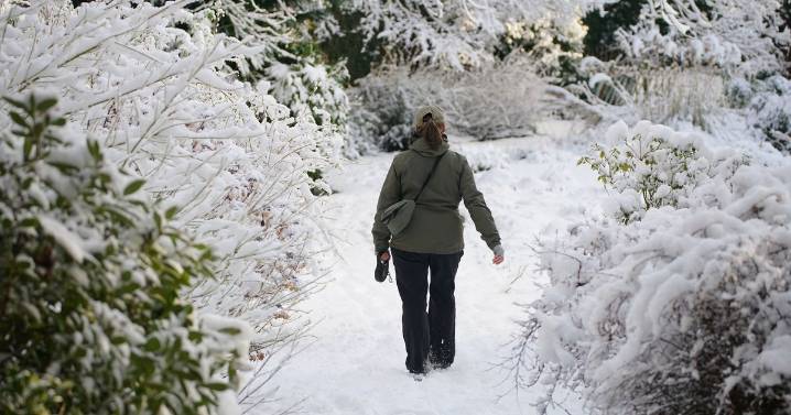 RHS shares how to protect your garden from snow and frost