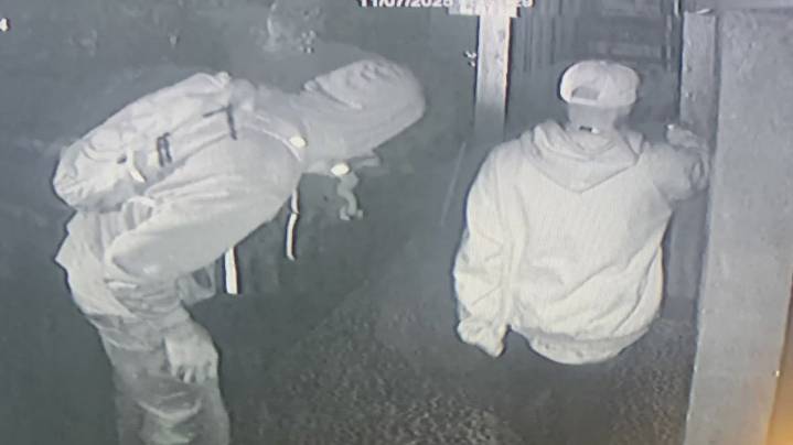 Community supports Seattle's Kraken Bar after burglary