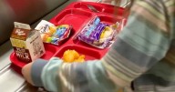 Colorado passes school meal funding; Maine rejects voter restrictions, passes red flag gun laws