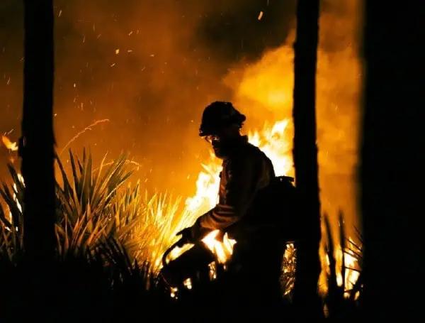 Red Flag Warning Issued For Pasco County: Extreme Fire Danger Through 6 P.M.