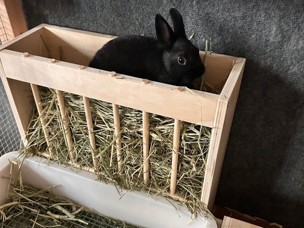 5 small ways Annunciation community is finding healing