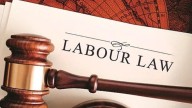 From gratuity to gig worker insurance: What new labour laws mean for employees
