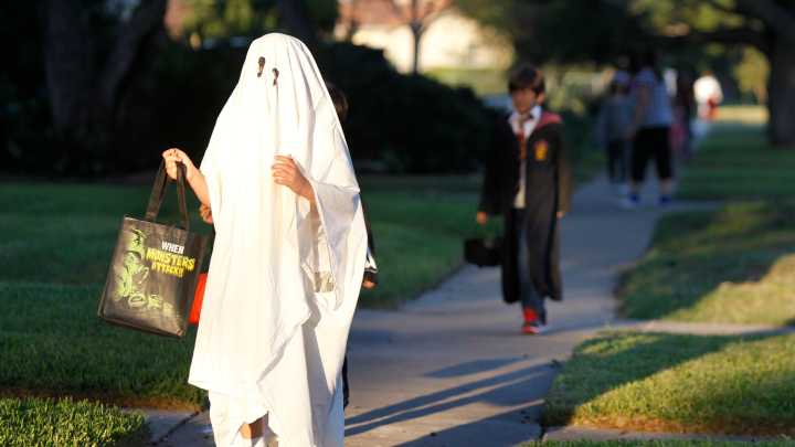 Send in Halloween 2025 pics and videos here