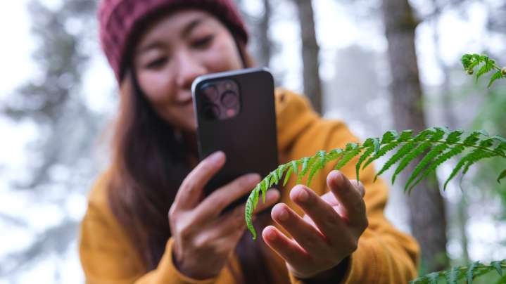 The Best Plant Identification Apps To Protect Your Garden
