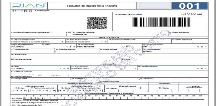 Ahora el RUT solo tendrá fecha de generación del documento
