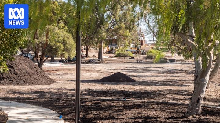 Council discovers 46 trees mistakenly cut down during park redevelopment