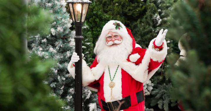 Kids can enjoy Santa’s Grotto at Dobbies’ Sandyholm store