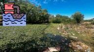 Erradican 95% del lirio acuático en el río Tunal: ahora buscan evitar descargas de aguas negras