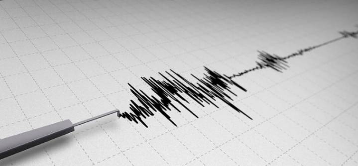 Sismo de magnitud 5,8 se registró en el sur de México