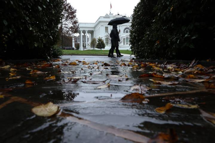 Tuesday turns soggy with rain showers in DC area