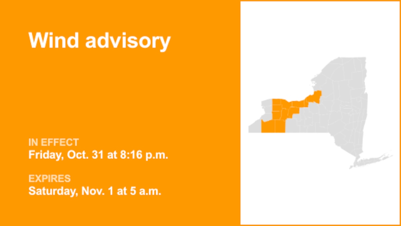 Wind advisory for Cayuga and Oswego counties until early Saturday morning