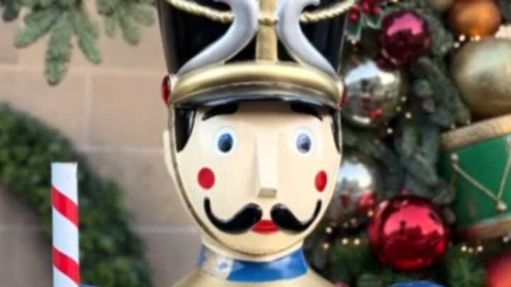 Have you seen this nutcracker? CCTV shows thief stealing festive statue