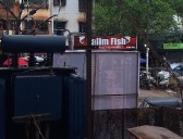 Pune: NIBM Annexe Activist Jaymala Dhankikar Urges CM To Order Safety Audits Of Hoardings