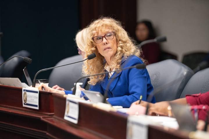 Peggy Gossett-Seidman files bill to ban for-profit access to DMV records, end ‘shadow rating’