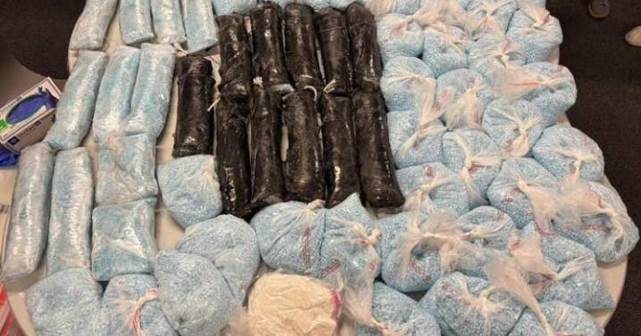 Opioid used to tranquilize elephants seized in LA County DEA operation