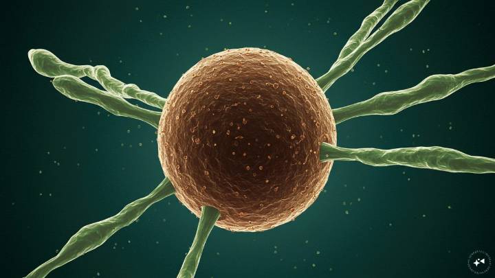 ‘Very Strange’: Chinese Scientist Tried Sneaking Crop-Infecting Fungus Into US Lab Inside A Book