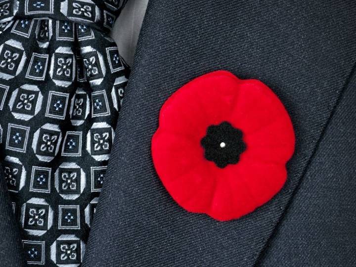 The poppy is above politics. Banning it from courtrooms is shameful