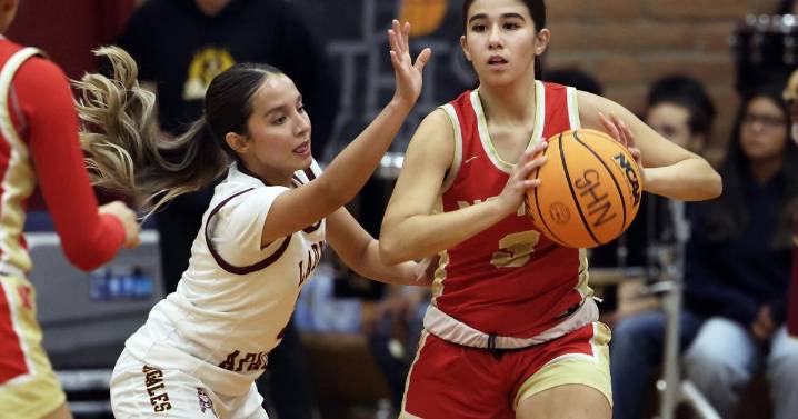 Defense fuels Nogales girls' win over Hawks