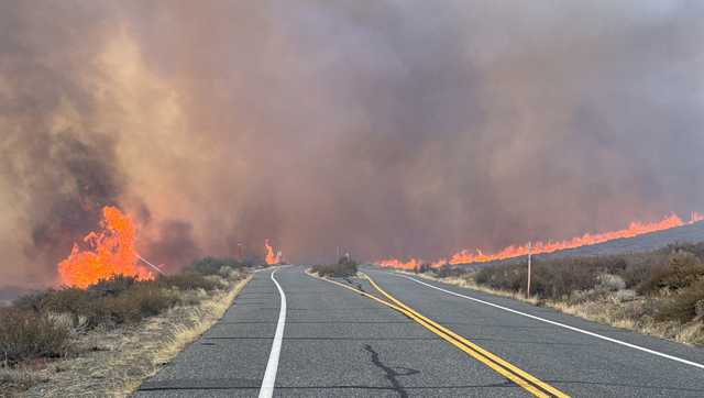 Fast-moving Pack Fire in Mono County prompts evacuations