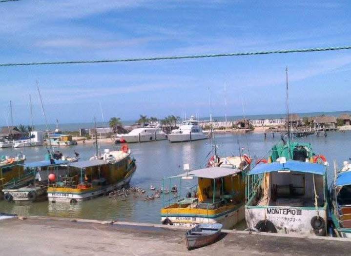 Clausuran congeladora de mariscos vinculada a sobrino de exalcalde