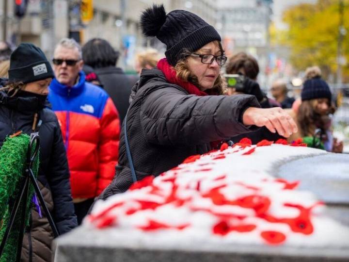 Toronto spits on veterans' graves with land, slavery acknowledgements