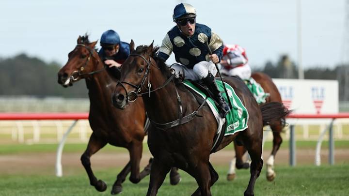 Race-by-race preview and tips for Kembla Grange on Saturday