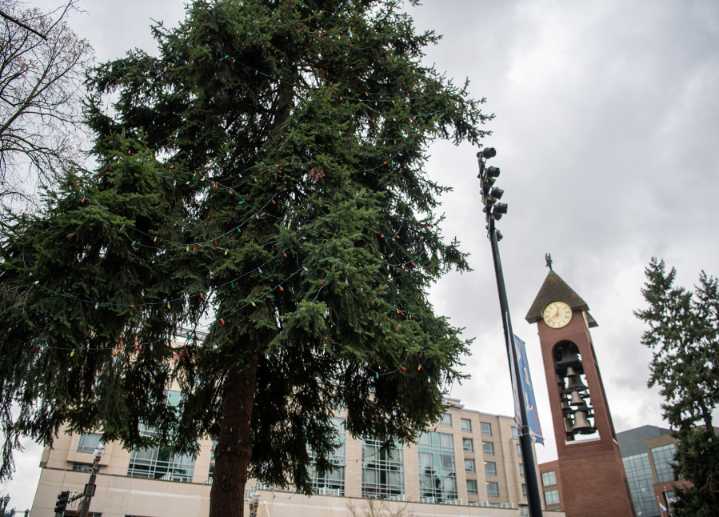 Busy Friday planned: Vancouver to raise new city flag, light Christmas tree, rededicate Salmon Run Bell Tower
