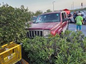 Atropellamiento de wuachacarros y caos en accidente vehicular