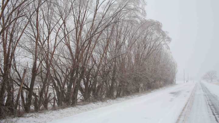 Leaving Florida for Thanksgiving? When and where weather woes will be