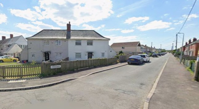 Baby mauled to death by dog in Welsh village