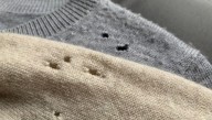 Clothes Getting Eaten By Moths? Here's What To Do
