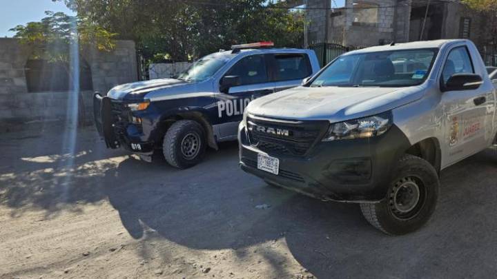 Golpeó con muletas a un perro hasta matarlo; lo detienen