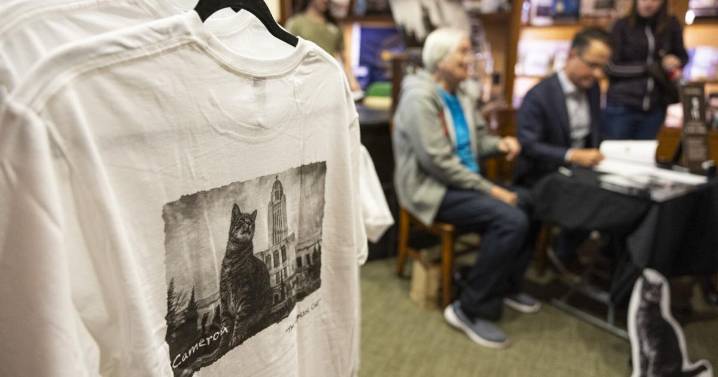 ‘Such a fixture of the Capitol’: Book features Cameron the Capitol Cat