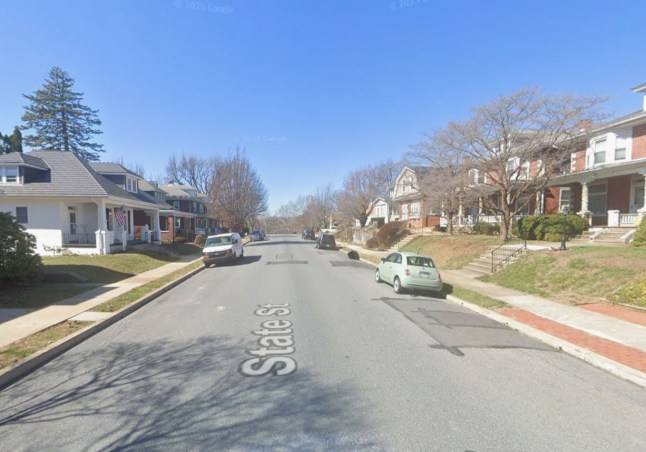 Dog accidently shoots owner in the back after jumping on a shotgun