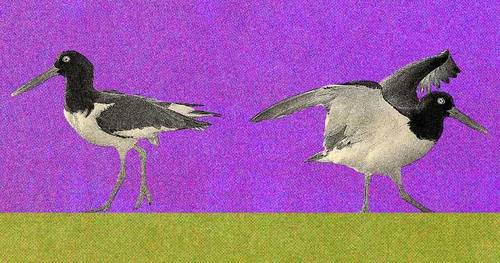 How I Ended ‘No Contact’ Estrangement With My Mom After Kids