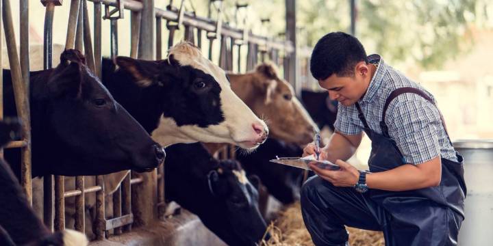 City of 11,000 reels from ‘gut punch’ after Big Meat firm closes plant that employs nearly a third of the population