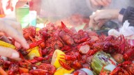 Is it crawfish season yet? When peak season starts in Louisiana