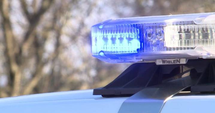 'Very disturbing': Son shoots mother multiple times, arrested in Detroit