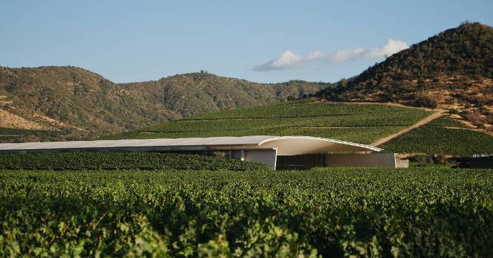 World's 50 Best Vineyards: Vik Winery leads list for Chile