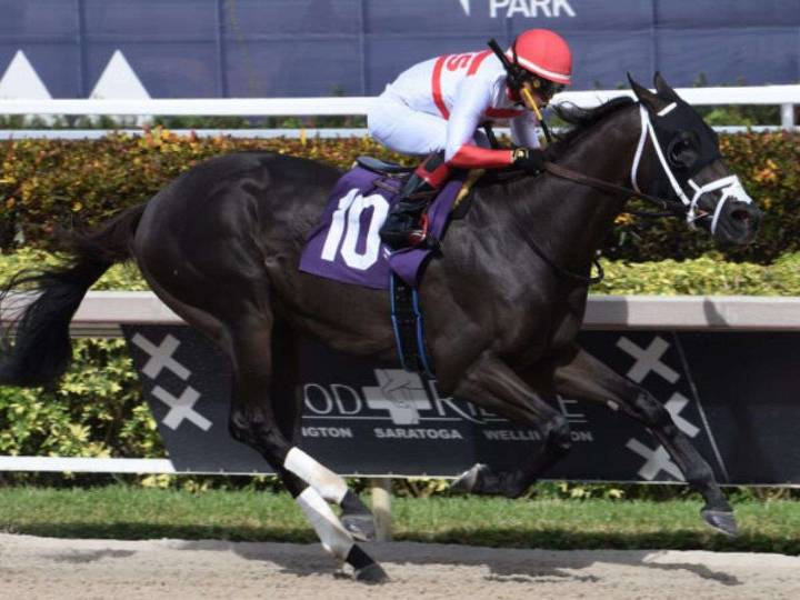 Bentornato apunta al Riyadh Dirt Sprint