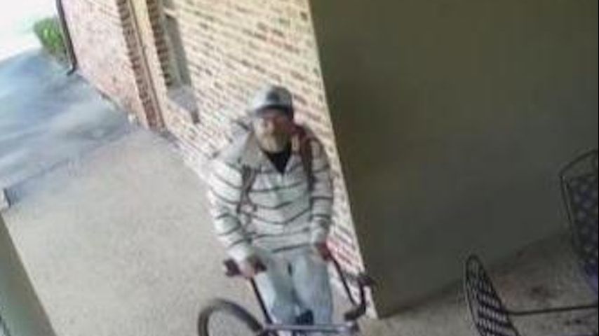 Deputies searching for man accused of stealing laptop from business along Bluebonnet Boulevard