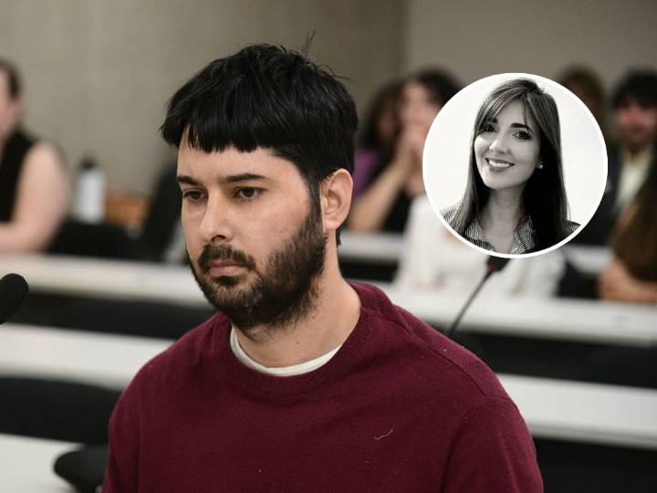 Ingeniero chileno es condenado a presidio perpetuo por asesinar a su pareja en Argentina