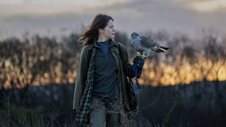 'H Is for Hawk' Review: Claire Foy's Soars in Grief