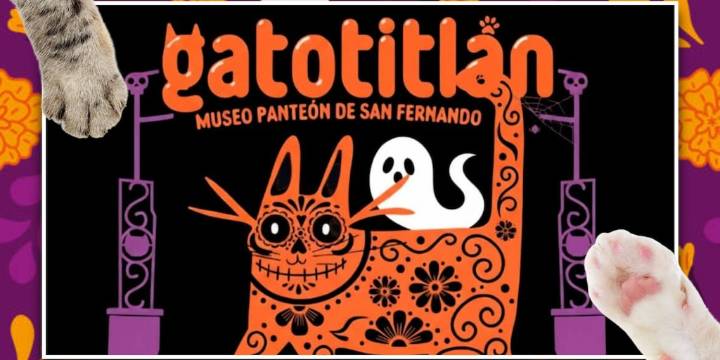 Regresa “Gatotitlán”, el festival felino del Museo Panteón de San Fernando